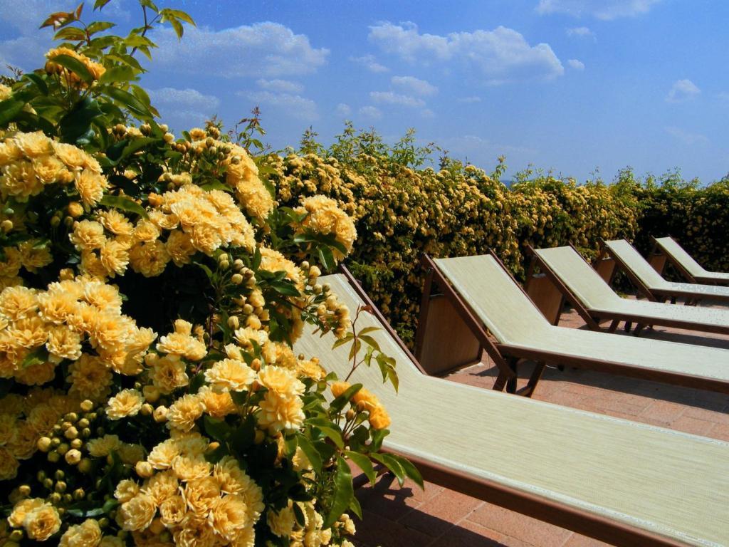 Agriturismo Il Vecchio Mandorlo Перуджа Экстерьер фото